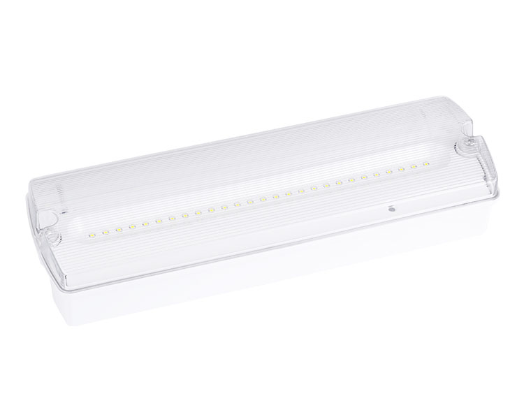 AD500 Light-IP65 Éigeandála Uiscedhíonach 27led