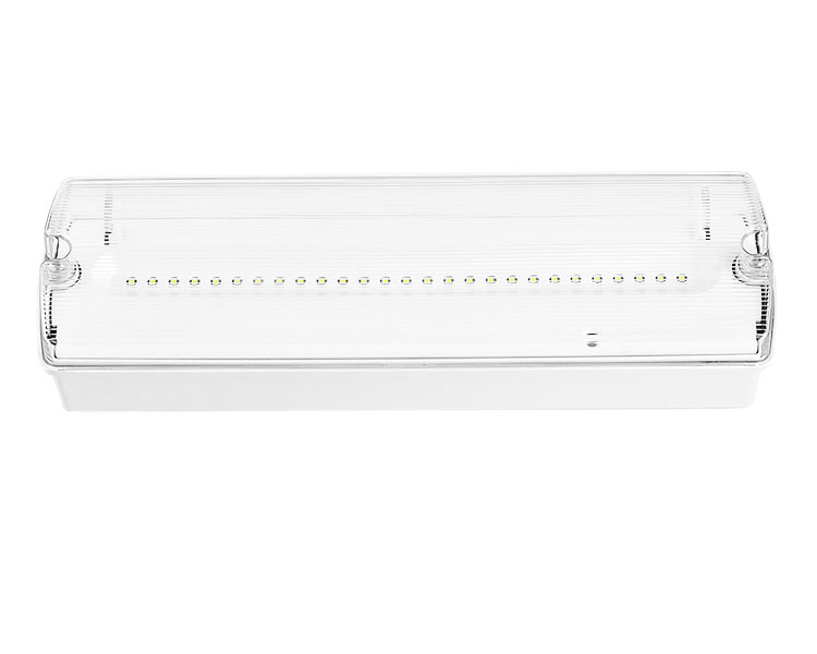 AD500 Light-IP65 Éigeandála Uiscedhíonach 27led